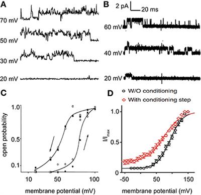 Commentary: Voltage Gating of Mechanosensitive PIEZO Channels